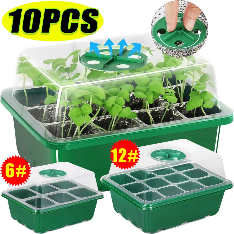 Dome Propagation Kit - Zestaw do sadzenia nasion z 6/12