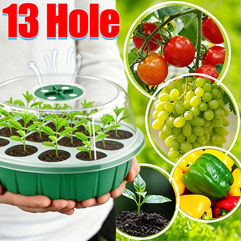 Dome Propagation Kit - Zestaw do sadzenia sadzonek z 13
