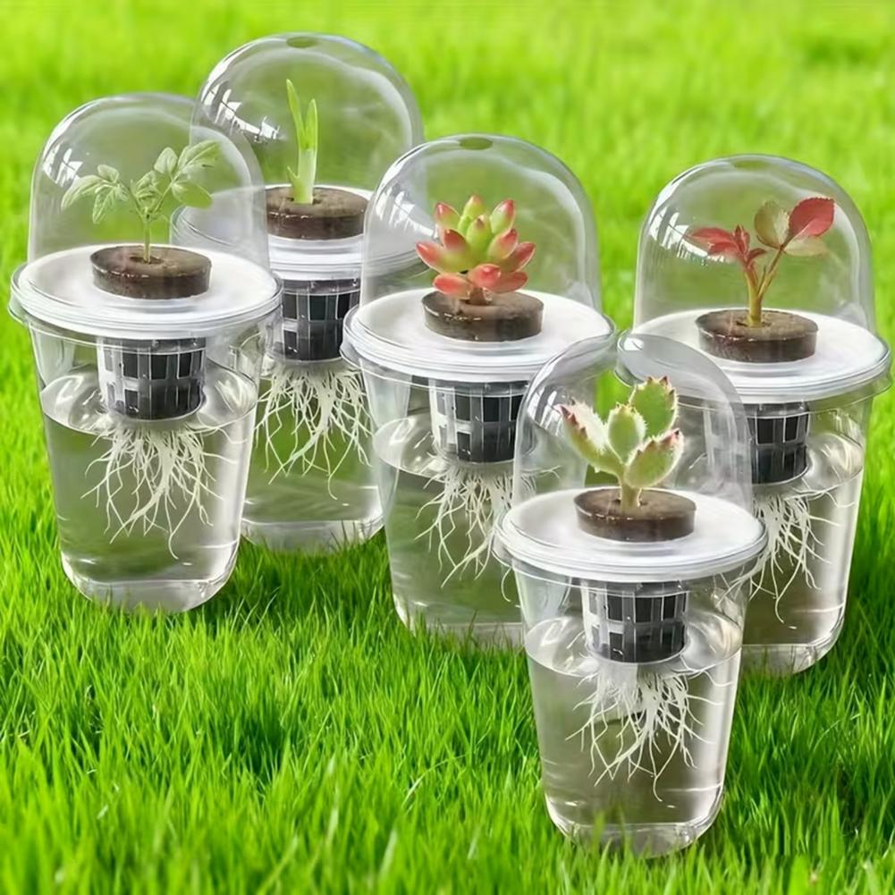 Hydroponiczny zestaw startowy  – Dome Propagation Kit recenzja i cena