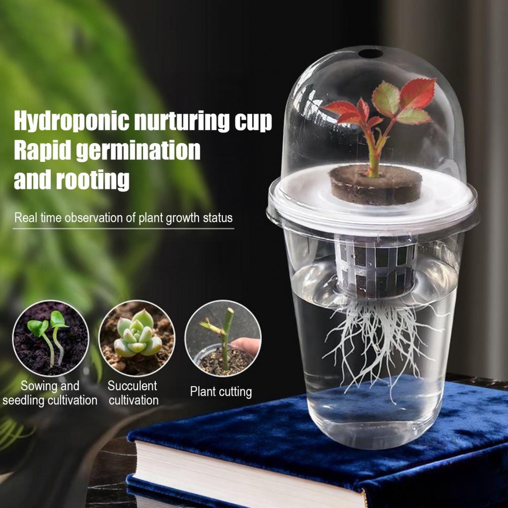 Hydroponiczny zestaw startowy  – Dome Propagation Kit recenzja i cena