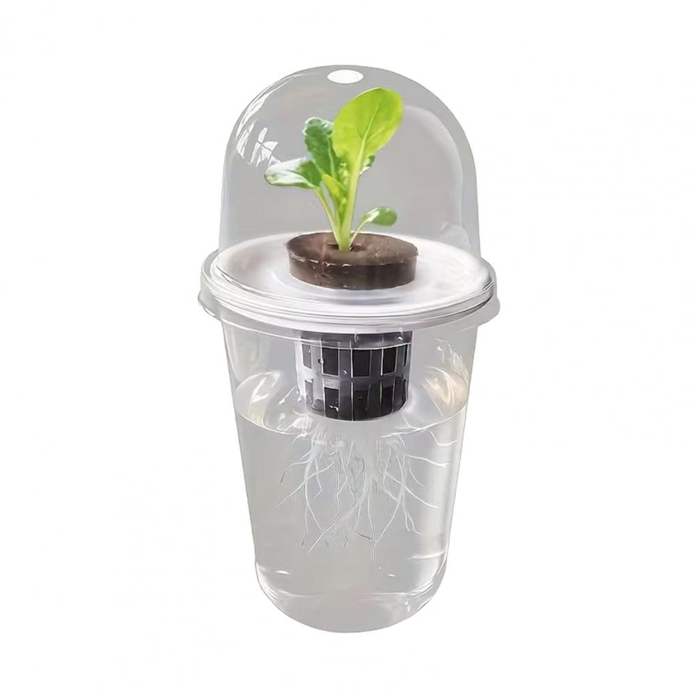 Hydroponiczny zestaw startowy  – Dome Propagation Kit recenzja i cena